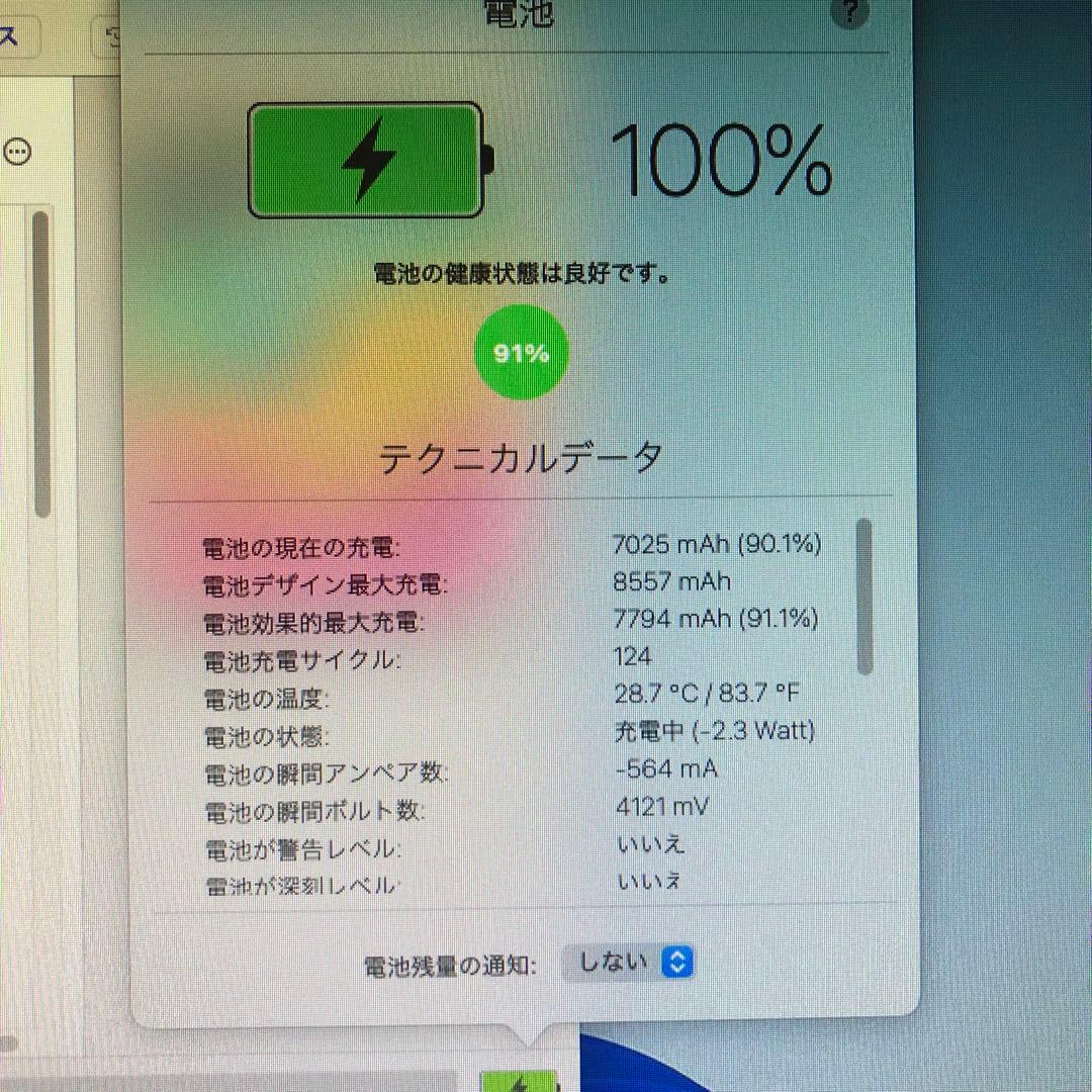 良品 第6世代 iPad 32GB wifiモデル　管理番号：173