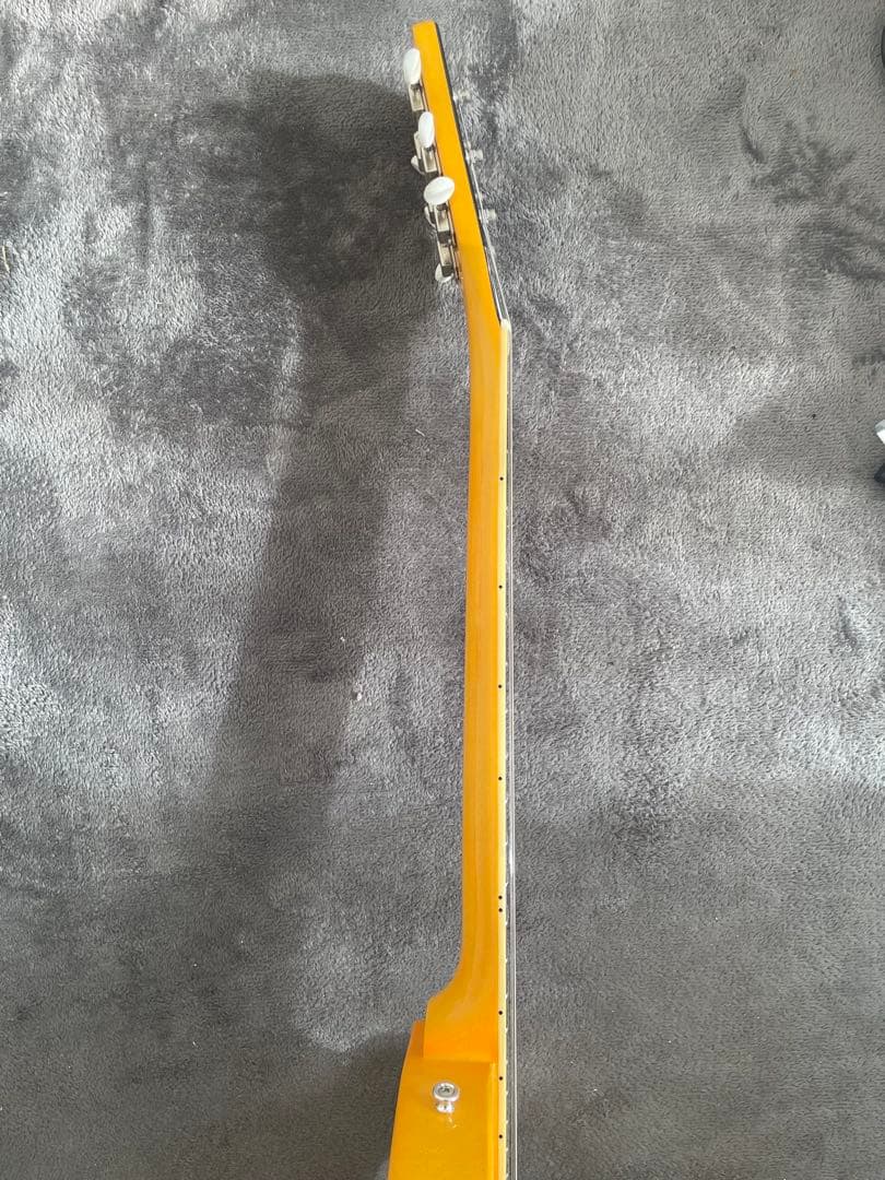 EDWARDS E-LS-LTD TV【ケース付】