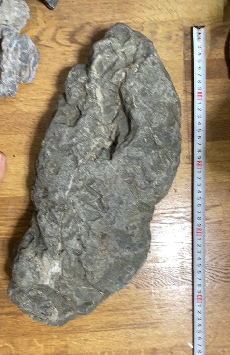 八海石　ADA アクアリウム　特大　水石　石組　盆石