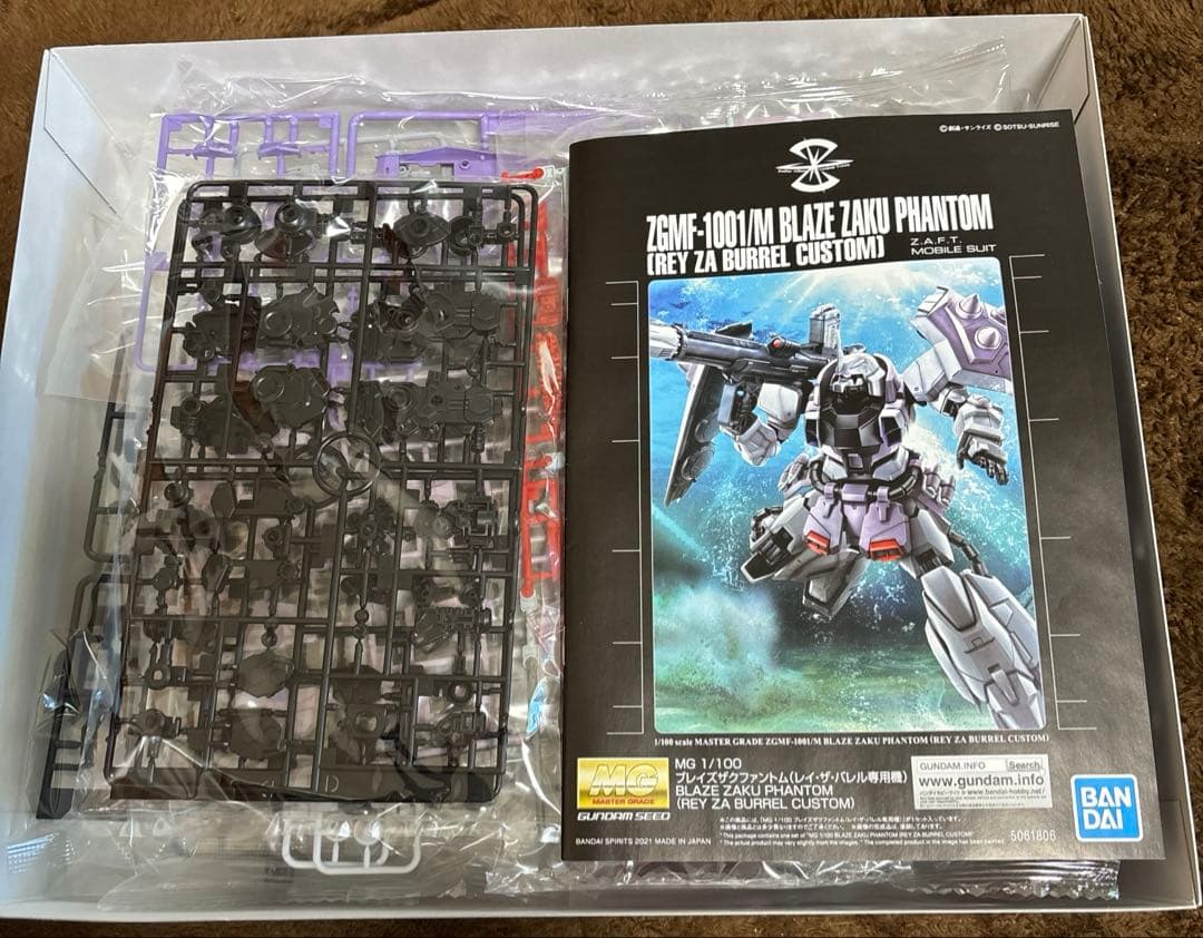 MG ZGMF-1001/M ブレイズ ザク ファントム レイ・ザ・バレル機