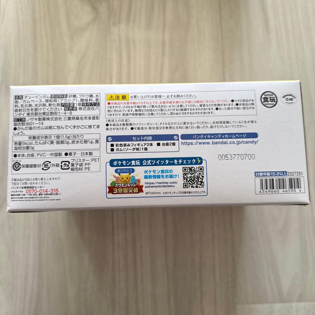 ポケモンスケールワールド ワタル&カイリュー