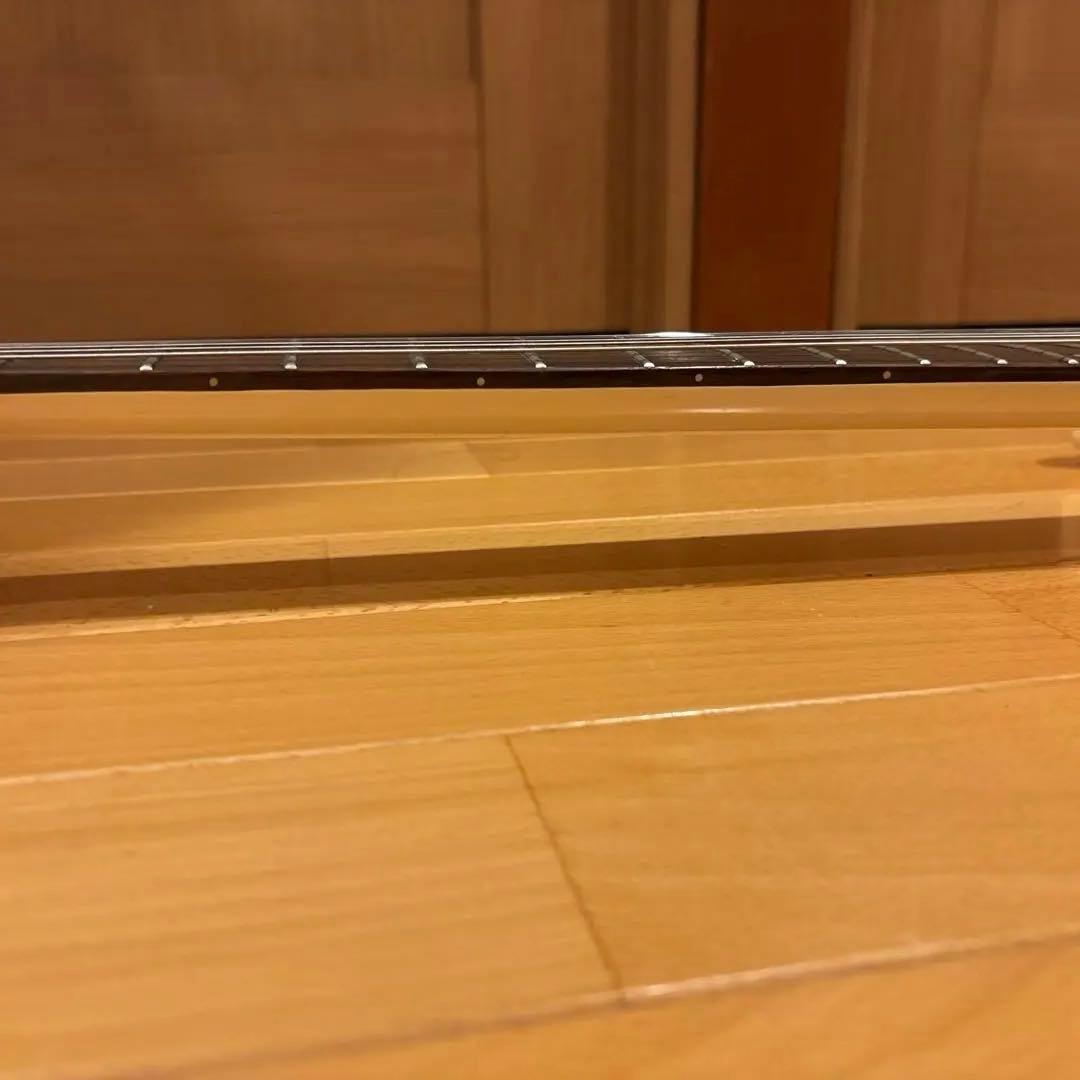 Aria Pro II Va480 ブラックパーツ仕様 アーム付 新品弦張替済