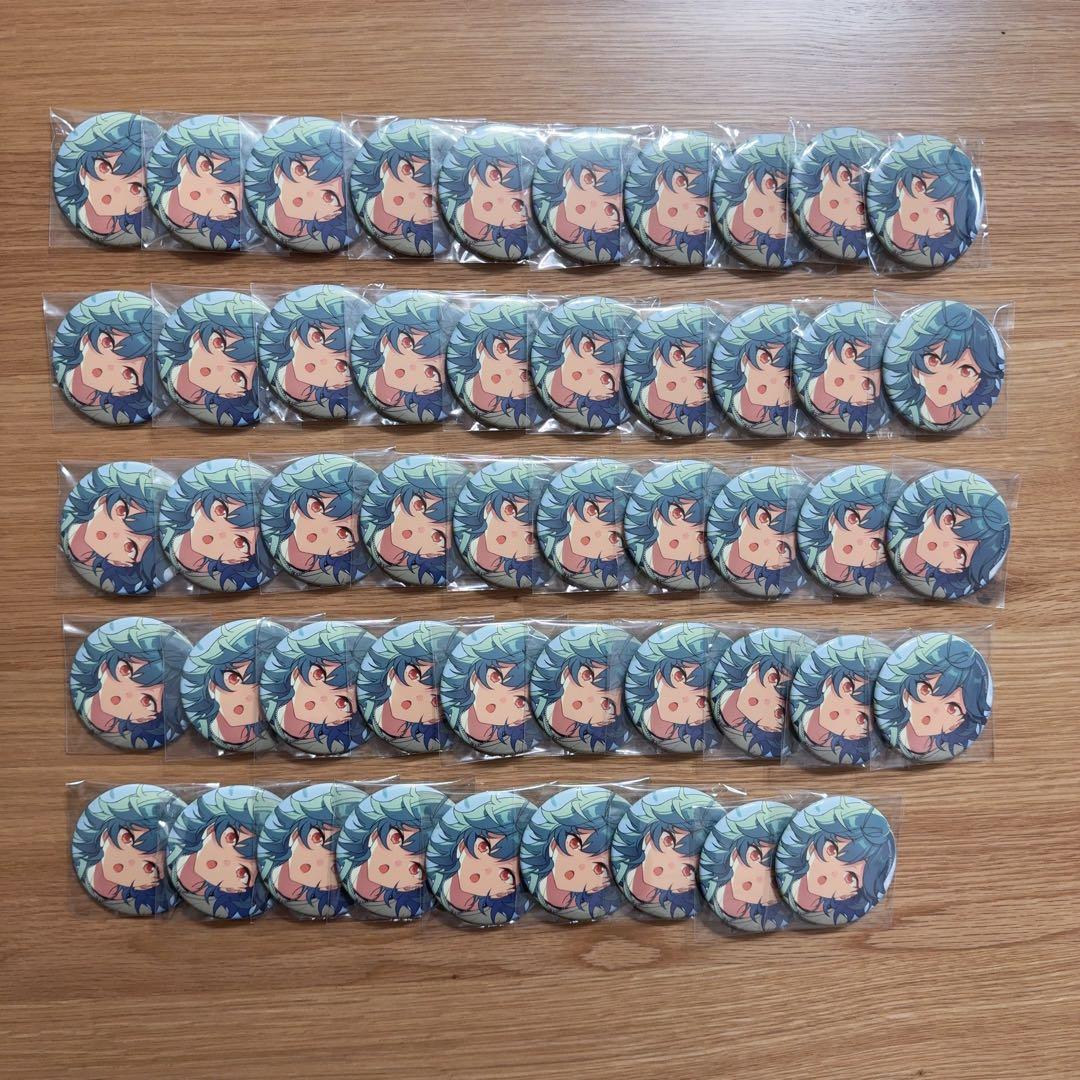 あんスタ 宝丈萊香 ライカ Feb コレクション缶バッジ コレ缶 casual