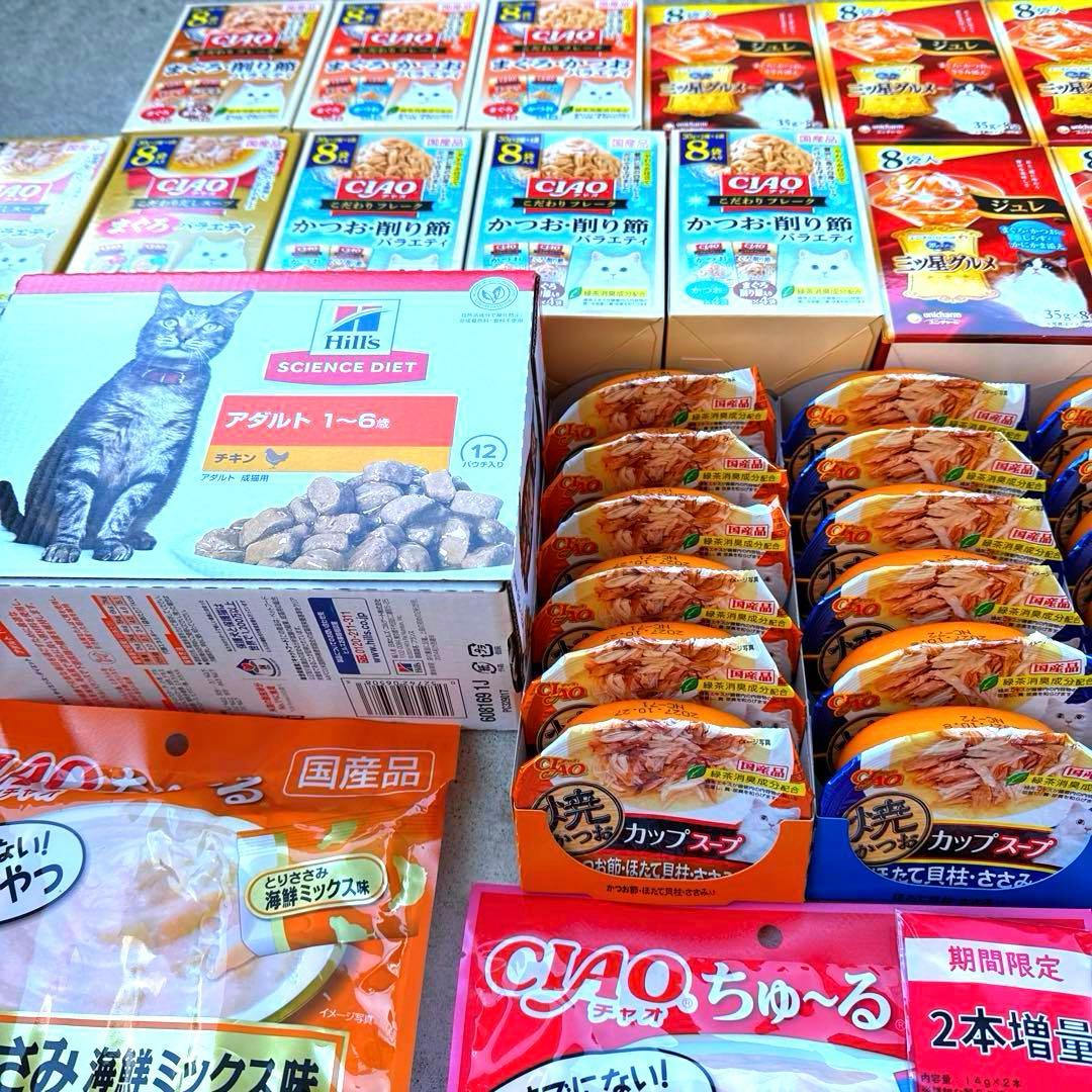 猫A 値下げ中！