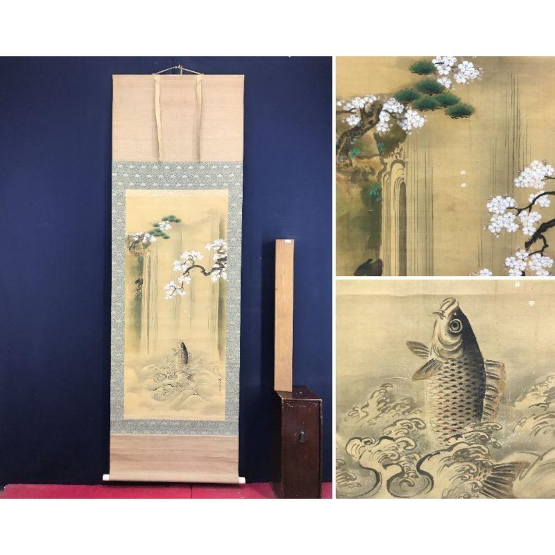 真作/狩野伊川院/滝昇鯉図/桜図/鯉図/コイ図/掛軸☆宝船☆AK-309