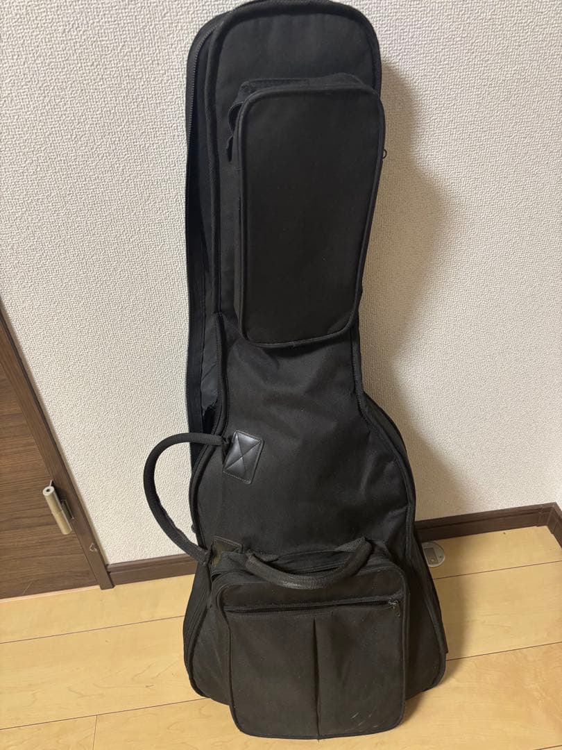 SCHETER SD-2 ピックアップ、ストラップ、ギグバッグおまけ付き