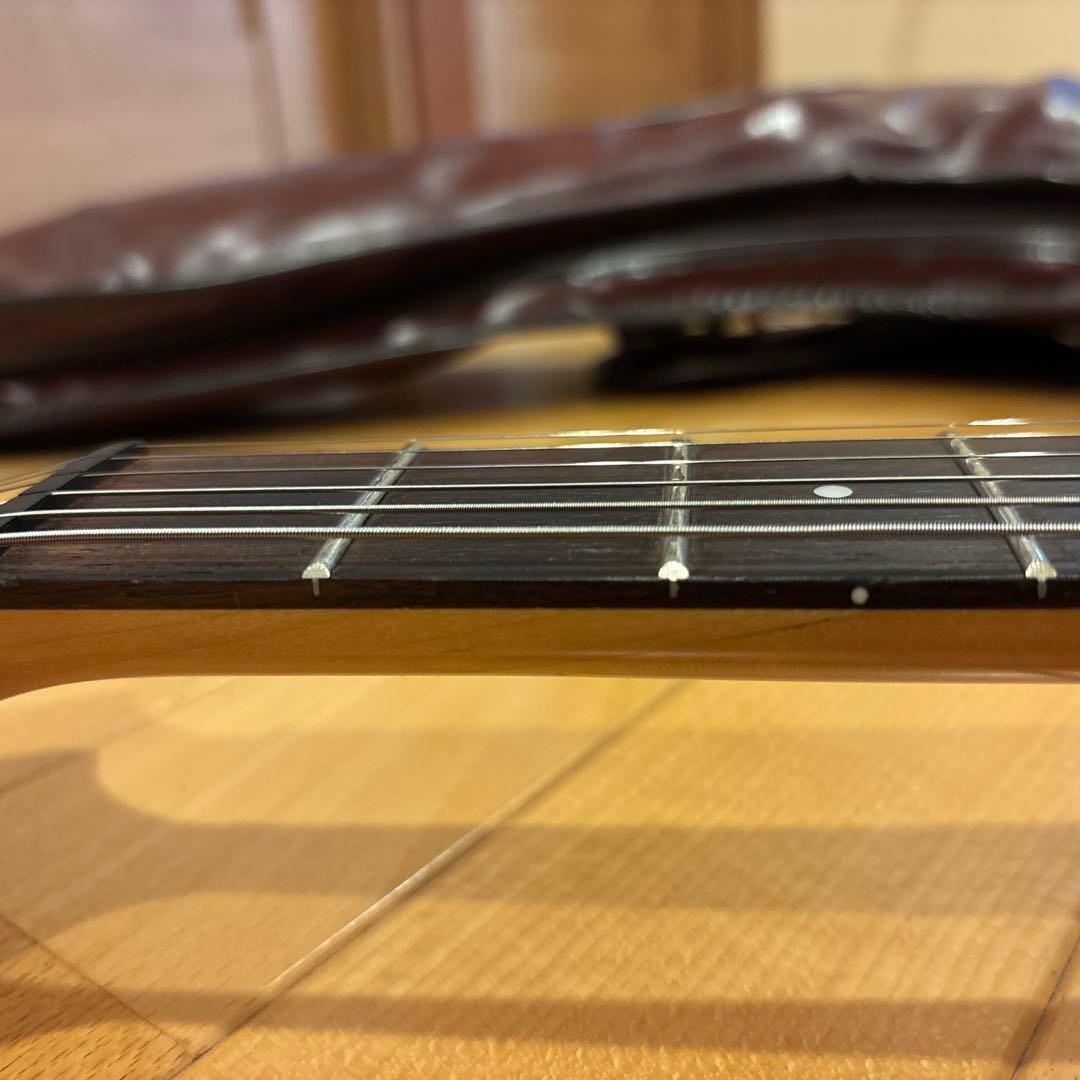 FERNANDES FGZ400 ブラックパーツ仕様 トレモロアーム・ケース付