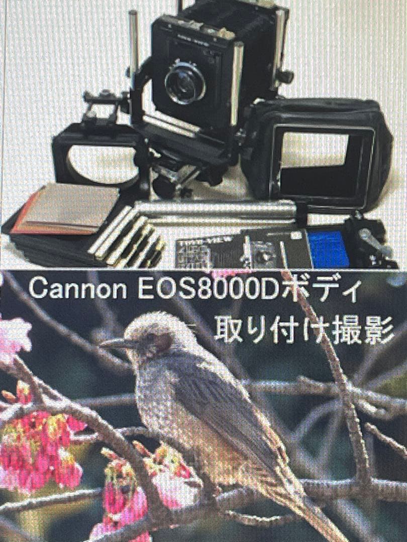 トヨビューG Canon EOS マウント カメラで撮影可ニッコール150㍉追加
