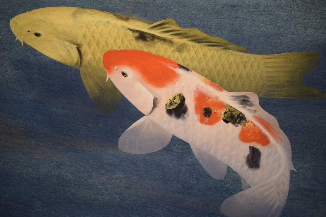 真作/川村憲邦/鯉/桐共箱太巻付/布袋屋掛軸HE-280