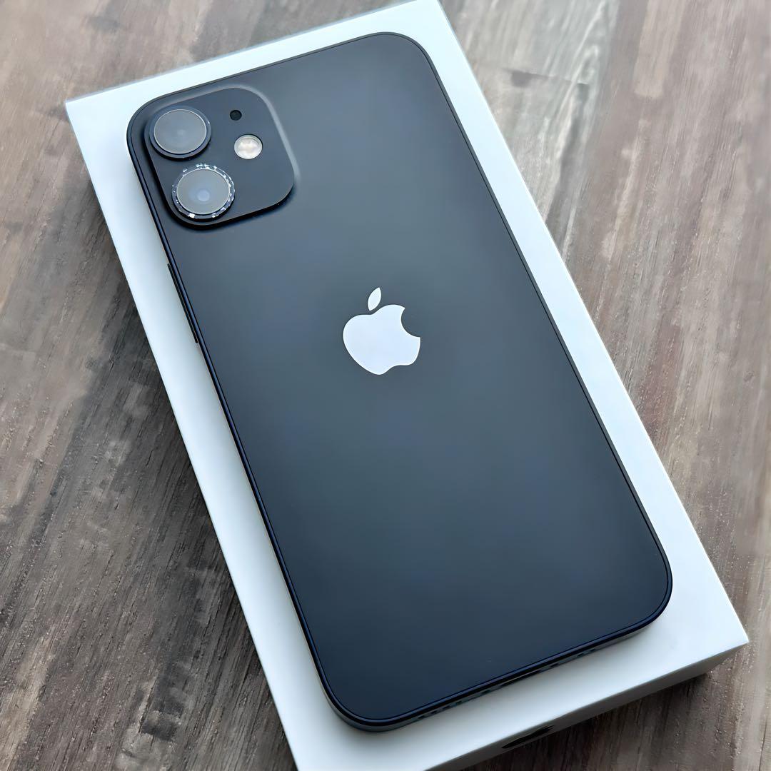 【良品◎大容量‼︎】iPhone12mini 本体 Black 256GB