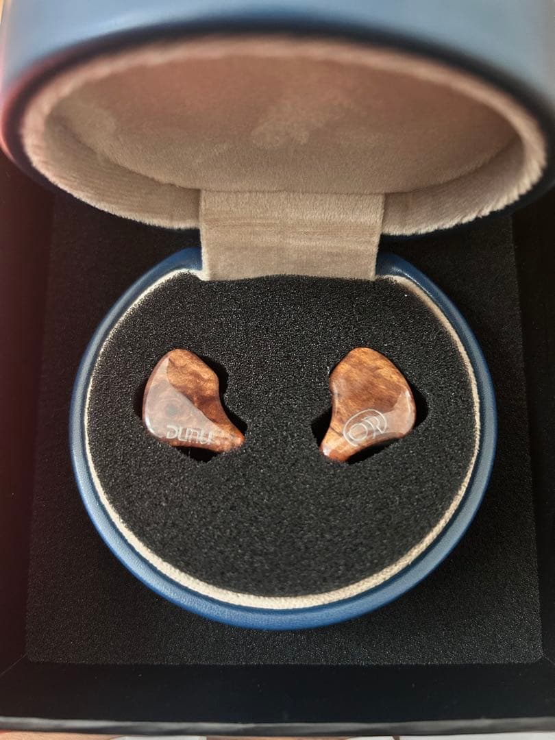 DUNU-TOPSOUND SA6mk2 残り3年半保証つき