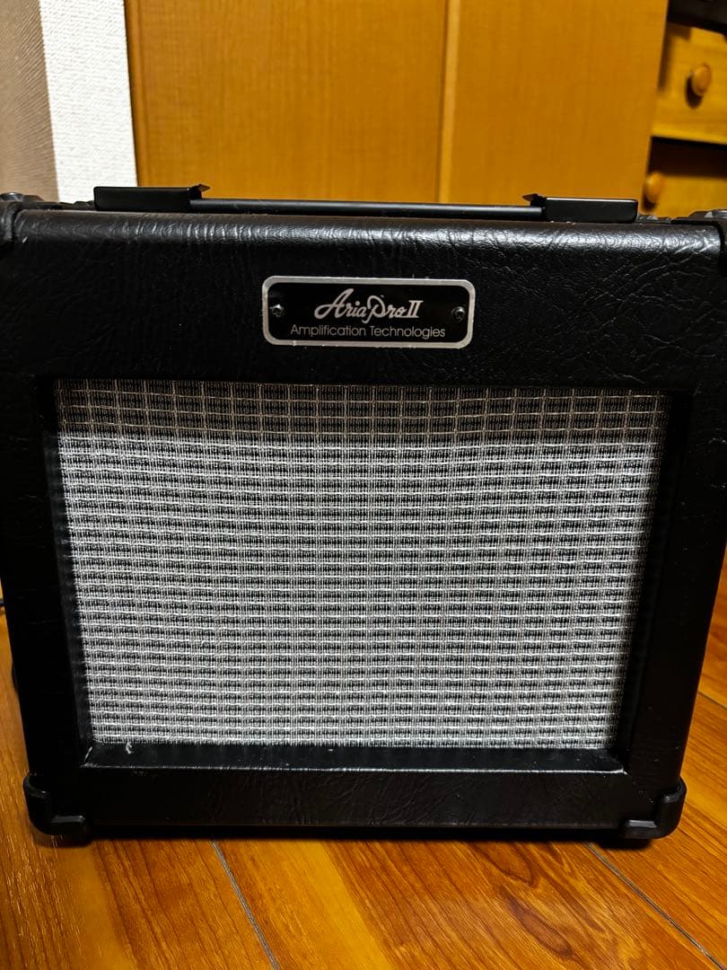 ギター Grass Roots GUITARS Knight MODEL