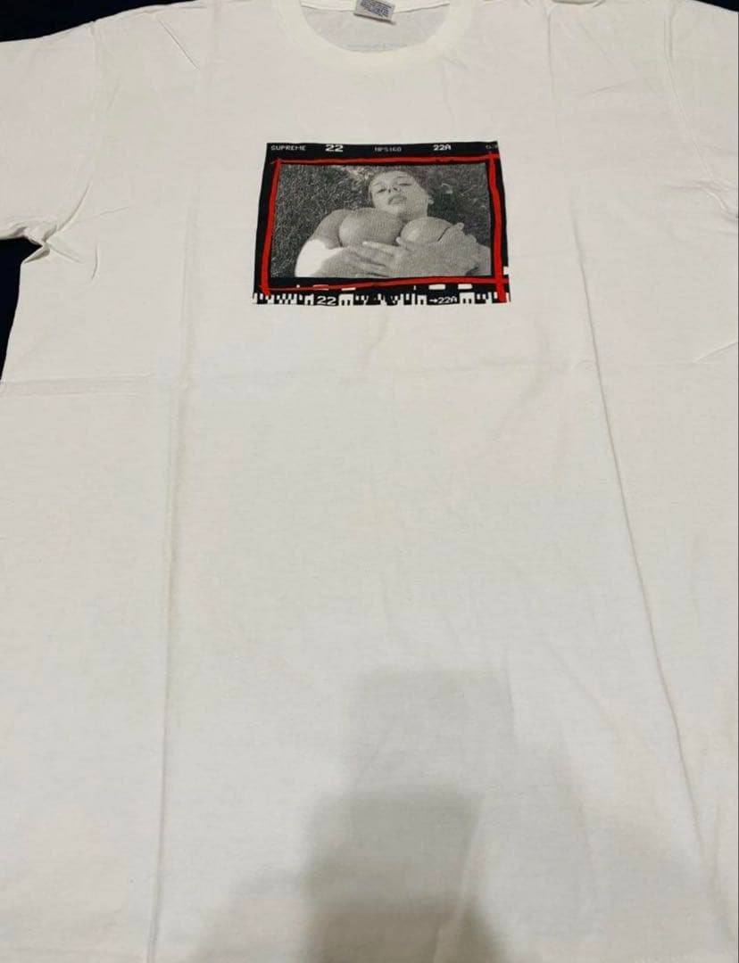 紅*ン様 【超激レアLサイズ】supreme テリーリチャード ヌードフォトグラ