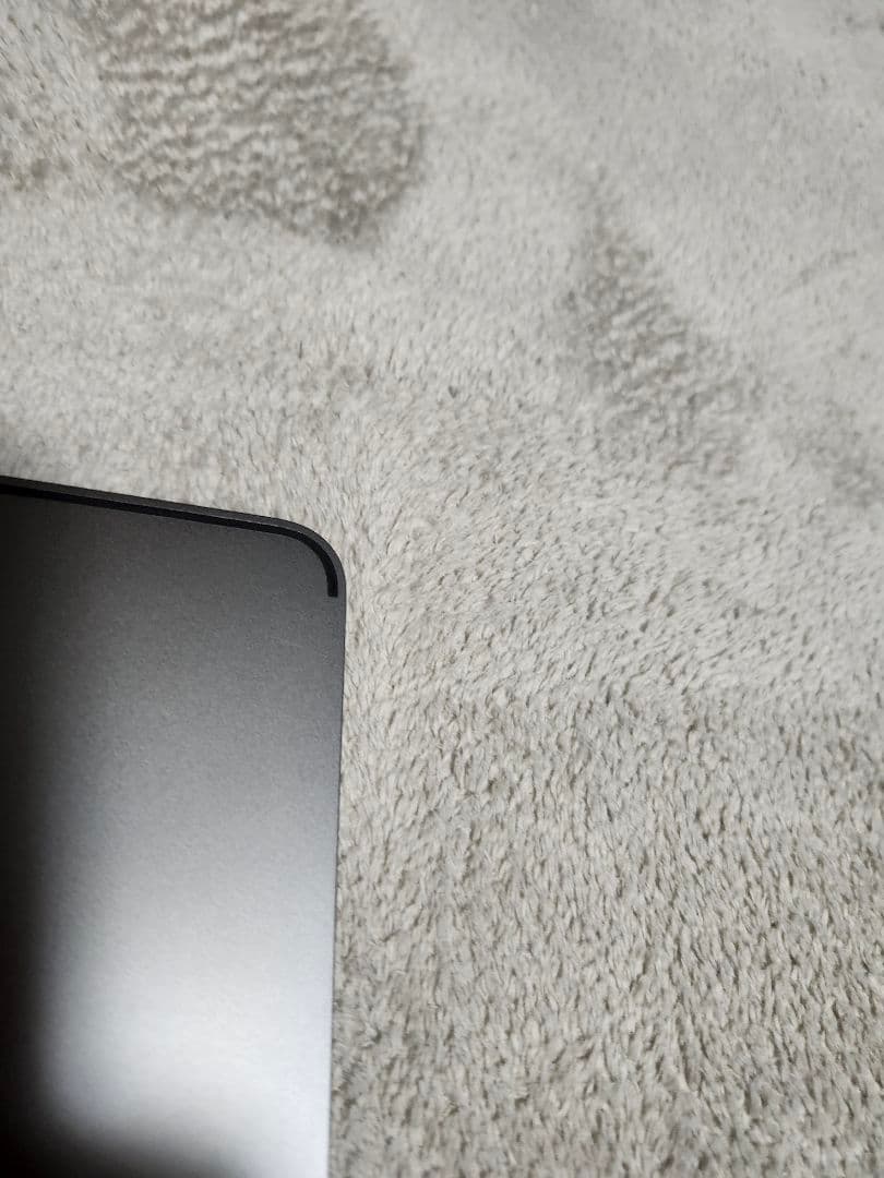 動作確認済み iPad Pro 12.9インチ 第3世代 64GB