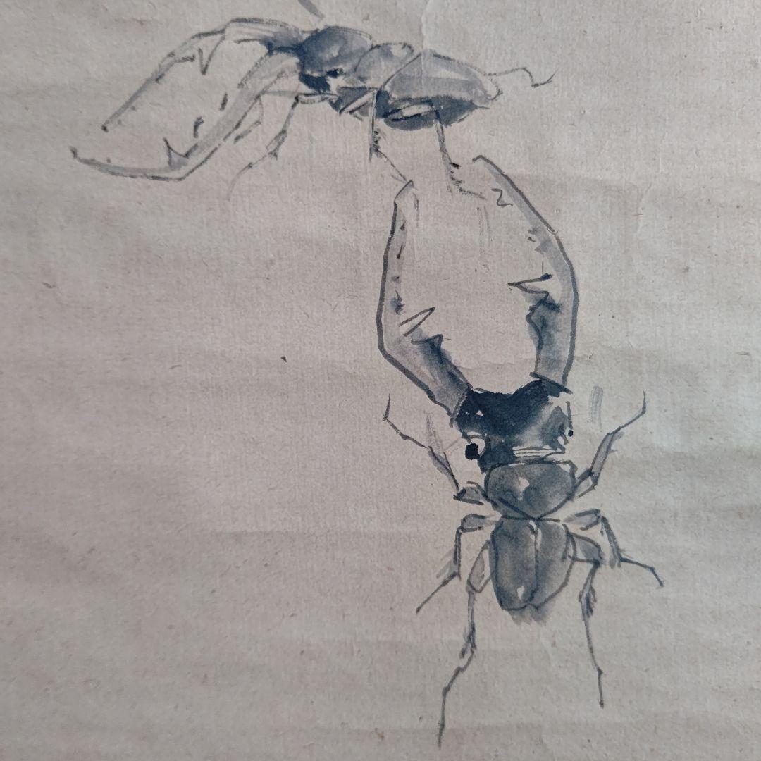 クワガタ図 掛軸 大須賀喬