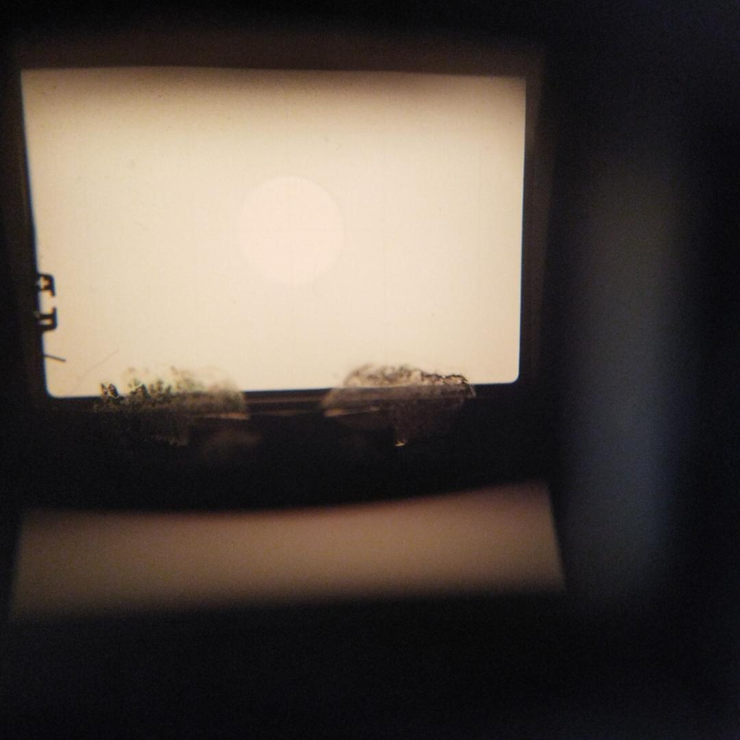 OLYMPUS OM-1 2台 + OM-10 +おまけ