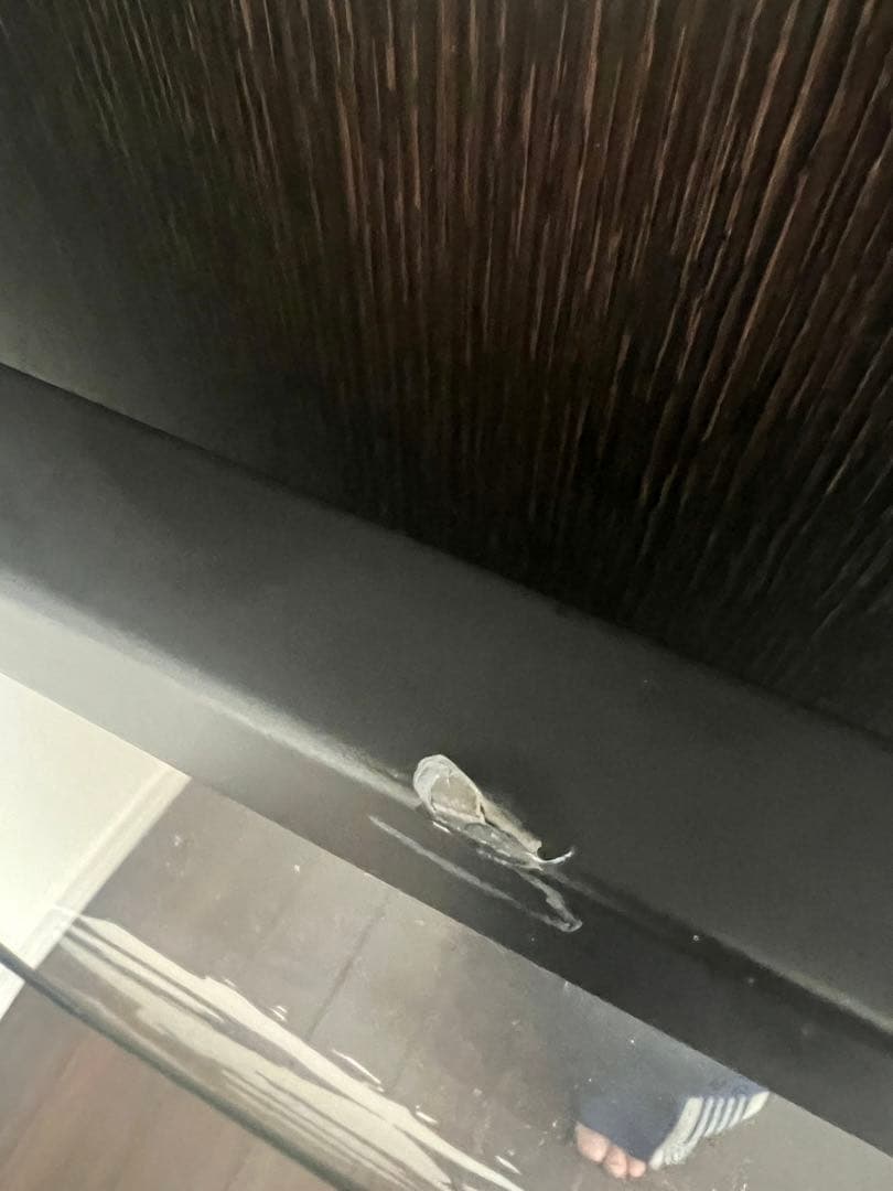 入手困難！コンラッドリーチ　人気ジミヘンの赤です！