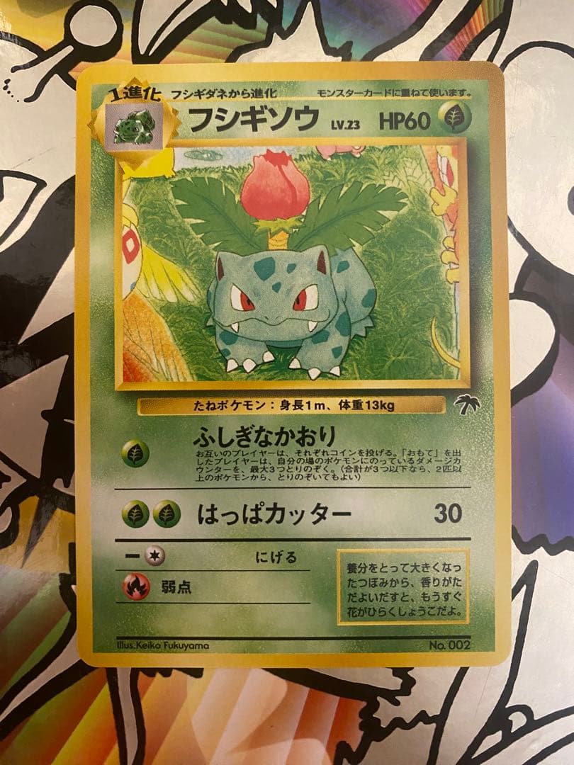 旧裏　ポケモンカード　サザンアイランドフルコンプ