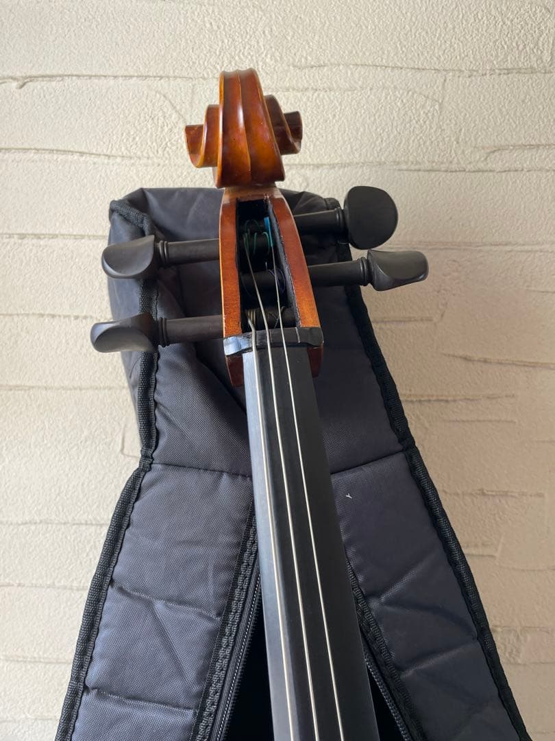 【極美品】Hallstattハルシュタット HC-450チェ 口