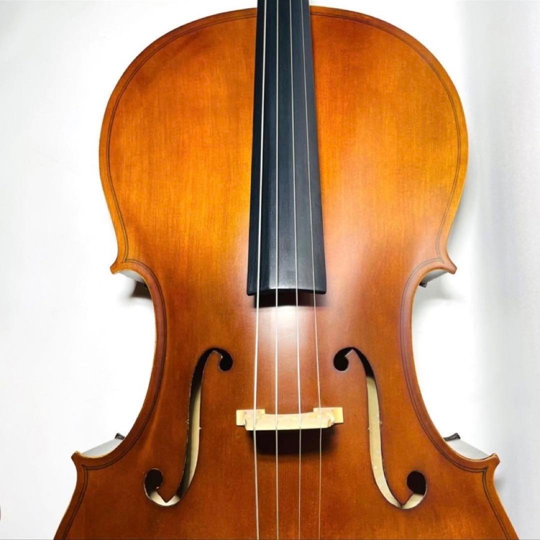 【極美品】Hallstattハルシュタット HC-450チェ 口