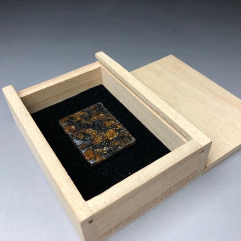 M*0様 パラサイト隕石 隕石　石鉄隕石　セリコ隕石 重さ約16ｇ　共箱