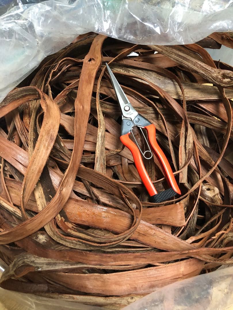 とすこ　天然山葡萄ヒゴ