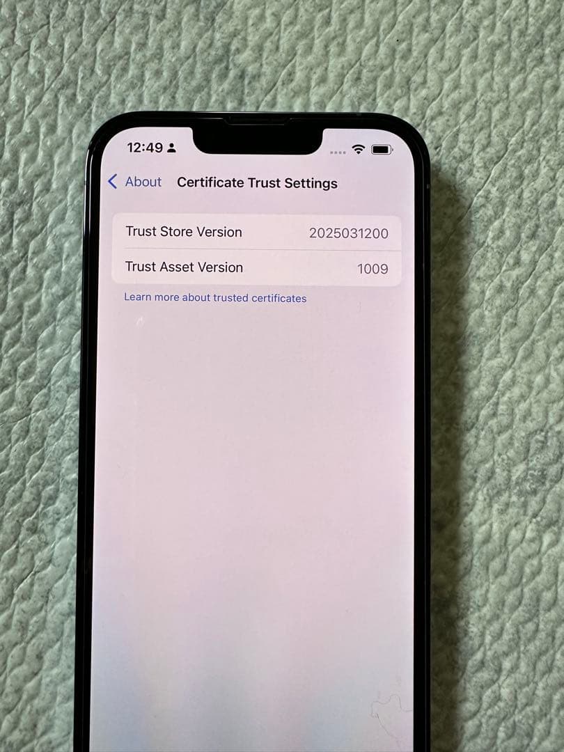 Apple iPhone13 Pro 128GB シエラブルー モデル 国際版