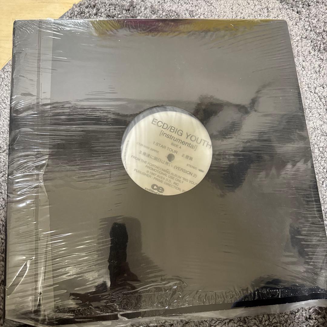 ECD/BIG YOUTH [instrumental] アナログ