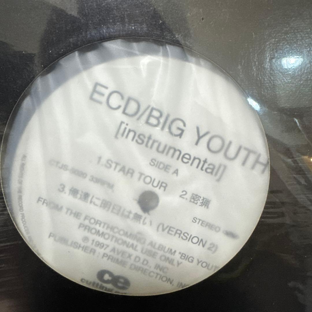 ECD/BIG YOUTH [instrumental] アナログ