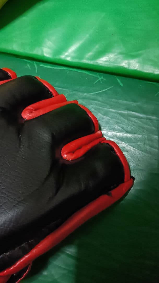 清*郎様 Venum ボクシンググローブ Isami オープンフィンガーグローブ