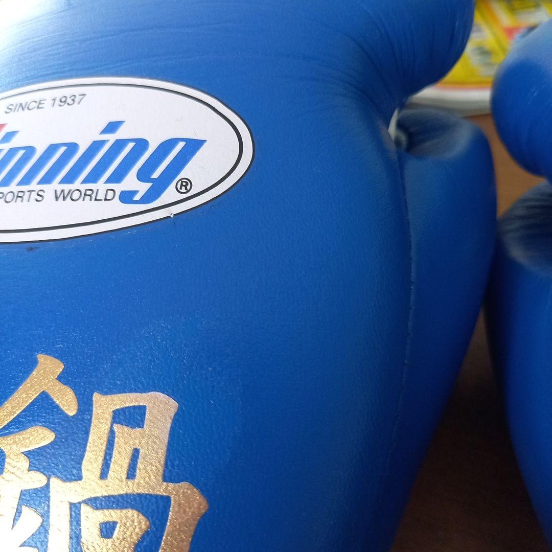 Winning ボクシンググローブ 10oz MS-300B