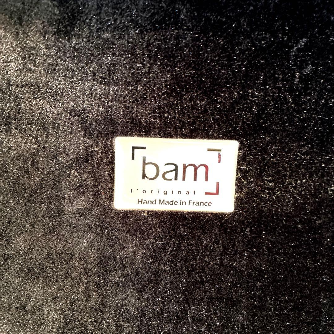 bam バイオリンケース　浅黄色
