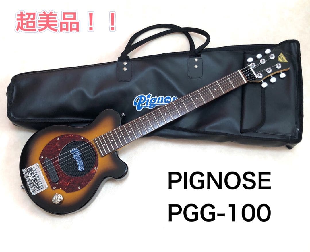 ★美品★PIGNOSE アンプ内蔵ミニギター BS ピグノーズ トラベルギター
