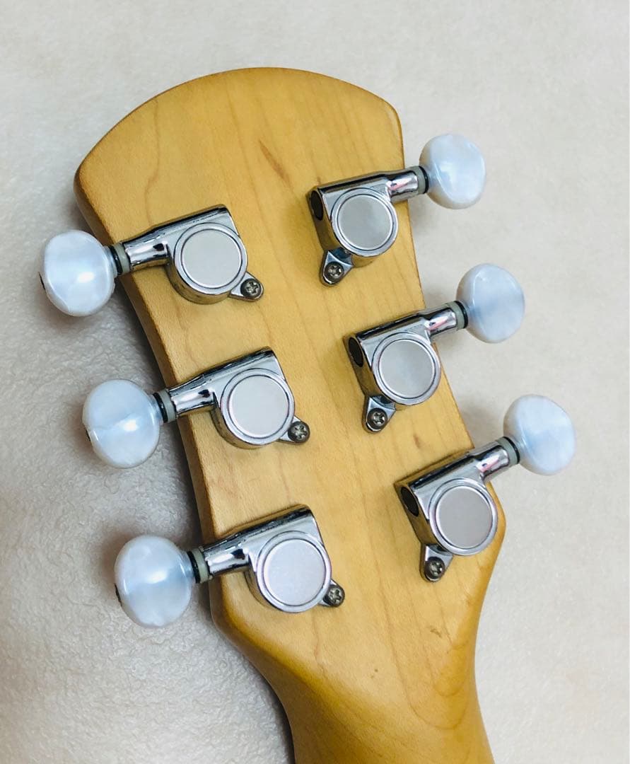 ★美品★PIGNOSE アンプ内蔵ミニギター BS ピグノーズ トラベルギター