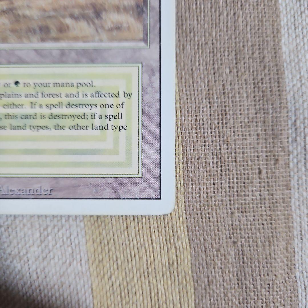 マジック：ザ・ギャザリング デュアルランド サバンナ