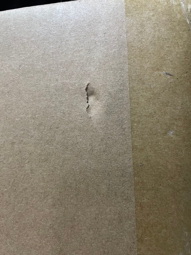 東宝30cmシリーズ ゴジラ(2016) 第4形態 オルソver ゴジラ•ストア