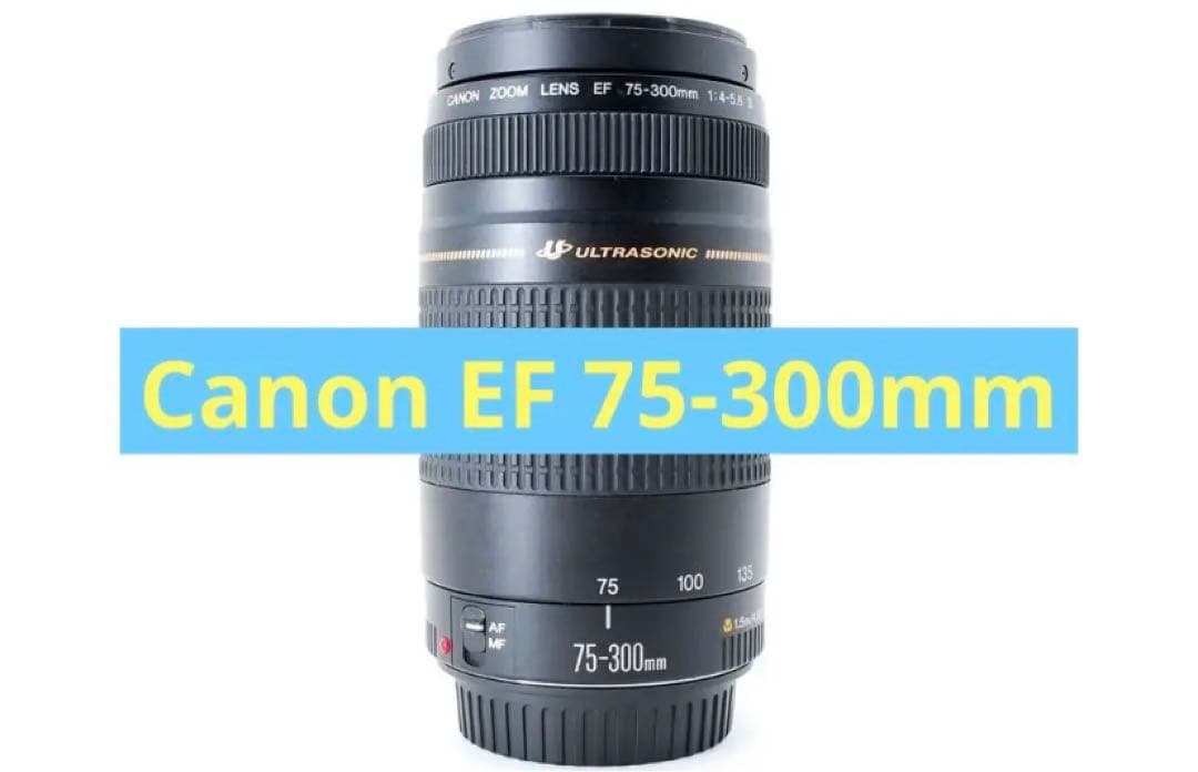 ☆望遠レンズ☆Canon EF 75-300㎜ F4-5.6 II USM☆