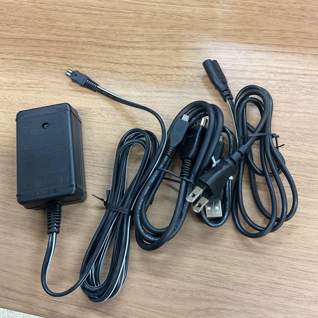 SONY FDR-AX60 ビデオカメラ 本体