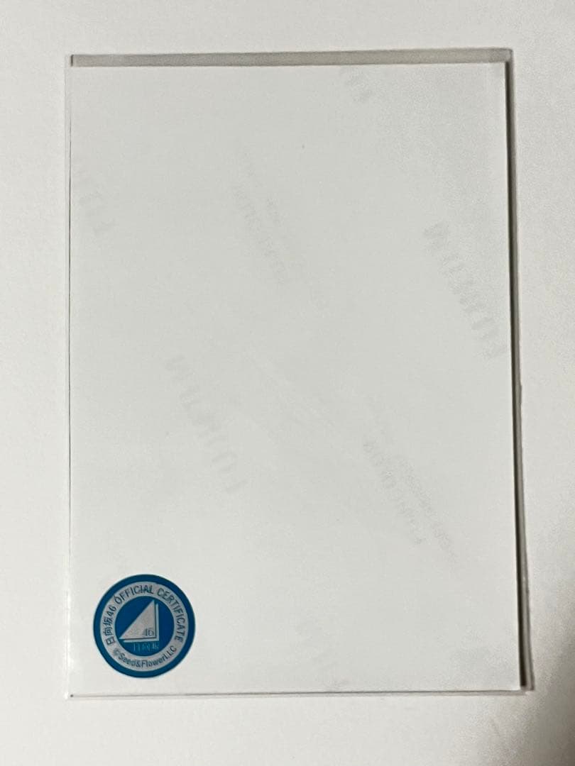 日向坂46 平尾帆夏 HappyTrainTour2023 サンタ衣装 サイン