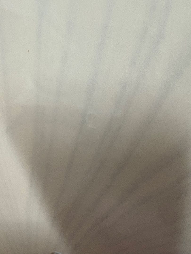 FUJIGEN NTE10MAHT テレキャスターシンライン モデル