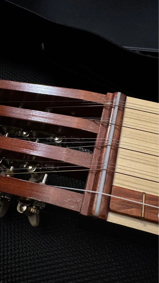 琉球かれん　ケース付き