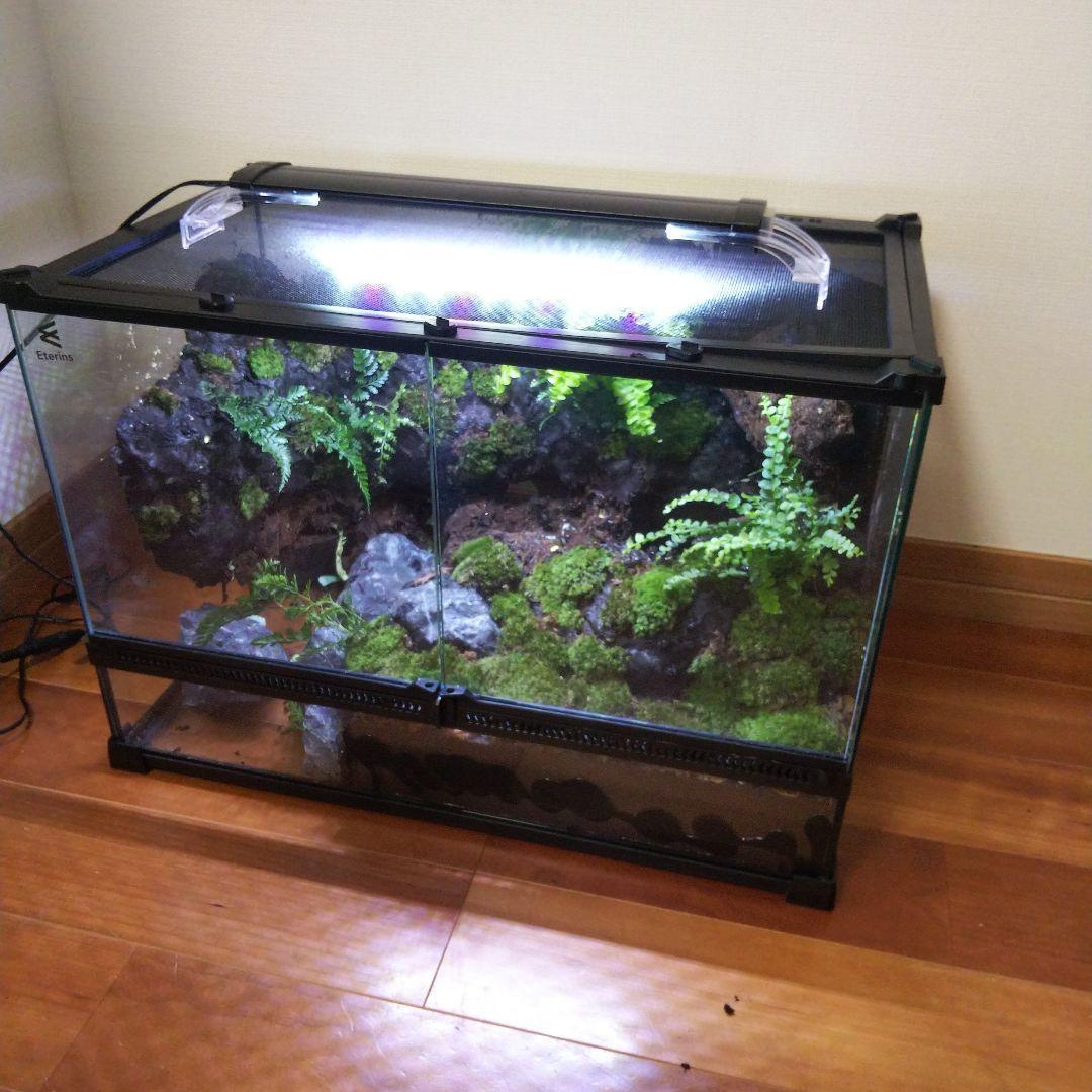 勢良雄太郎専用ページ