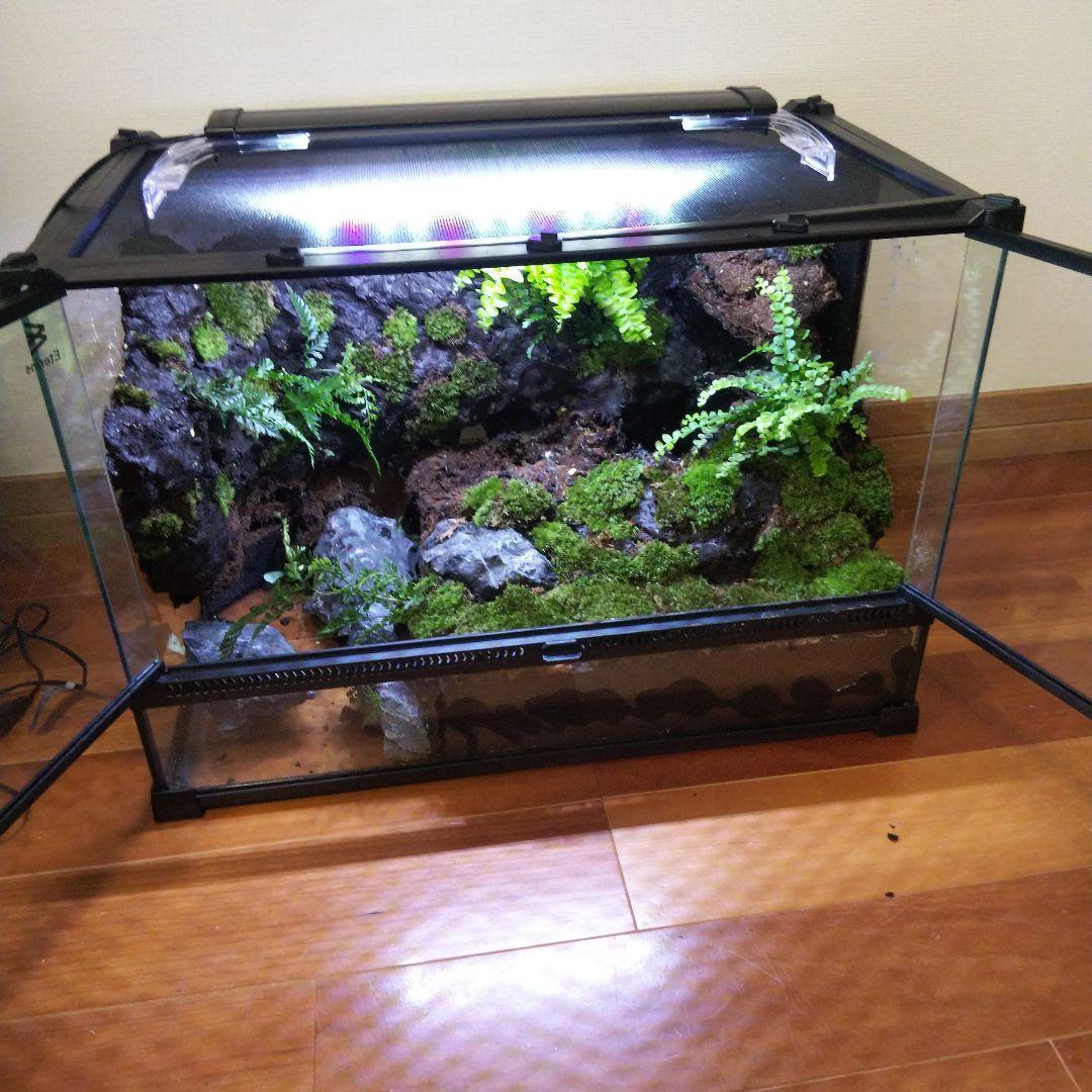 勢良雄太郎専用ページ