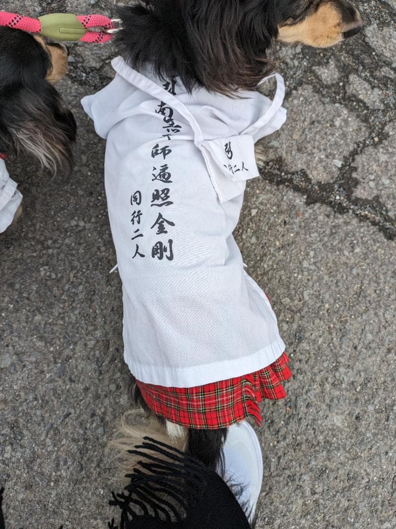 ペット用お遍路白衣三点セット　Мまで