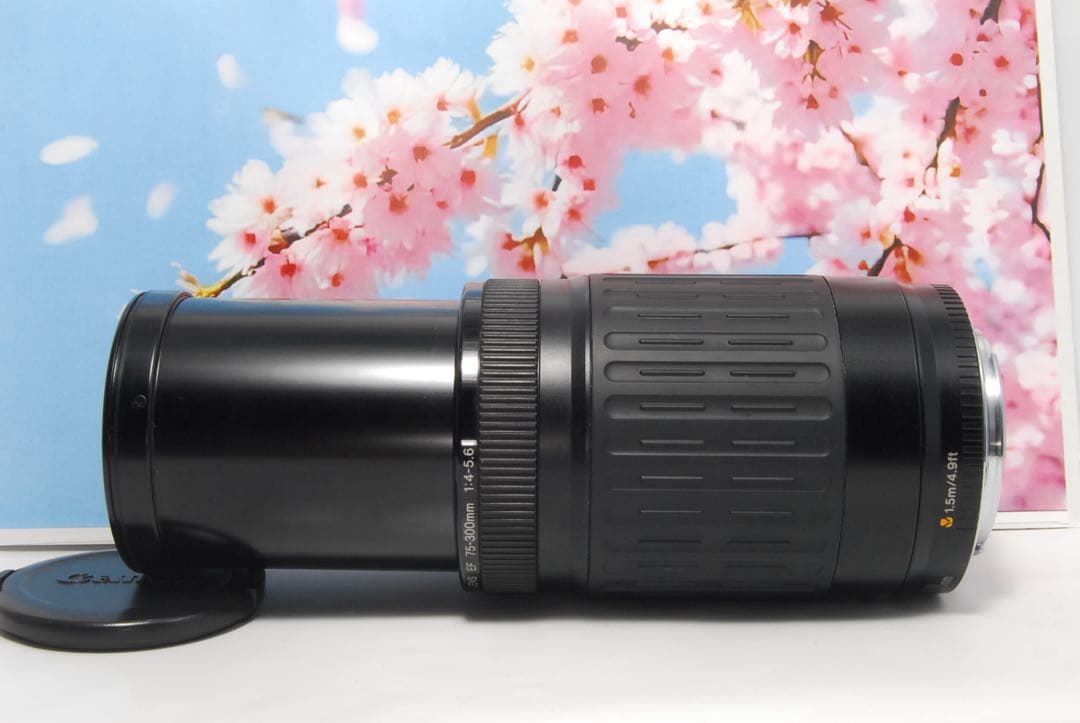 超望遠レンズ⭐️Canon EF 75-300mm 運動会 お遊戯会 にオススメ