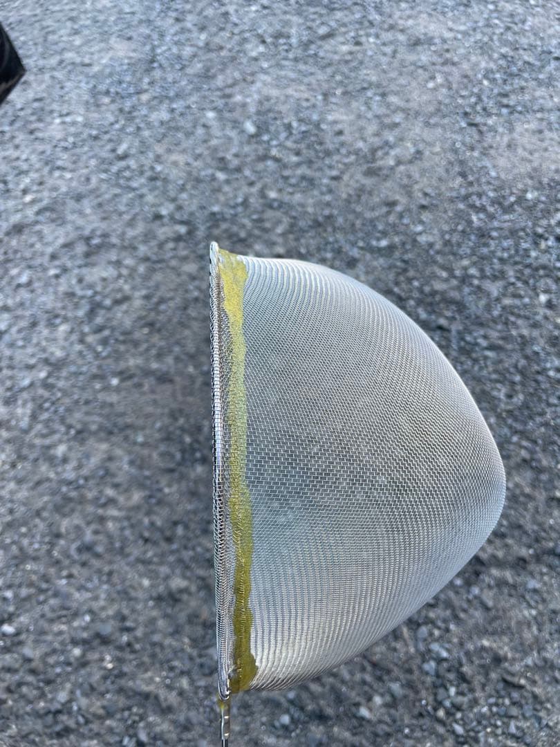 大人気　シラスウナギ　ステンレス　タモ網