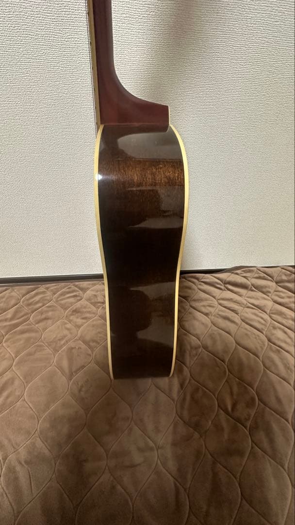 Pro Martin W‑200by ROGAR 日本製 アコースティックギター