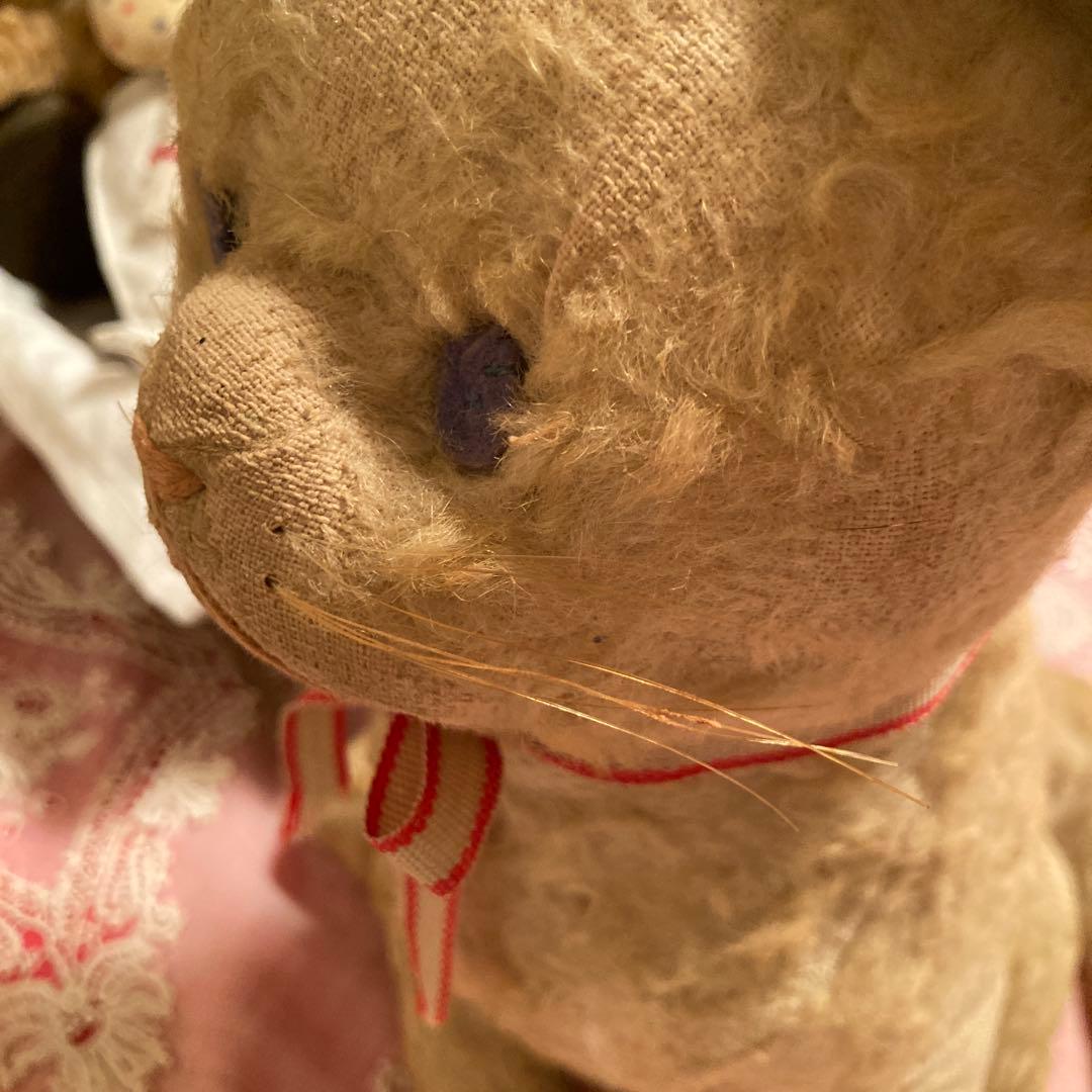 猫ちゃん リボン付き 約30cm