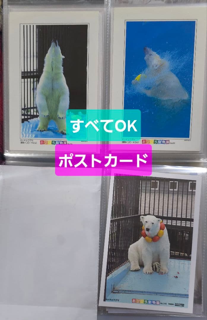 しろくまっこ ①