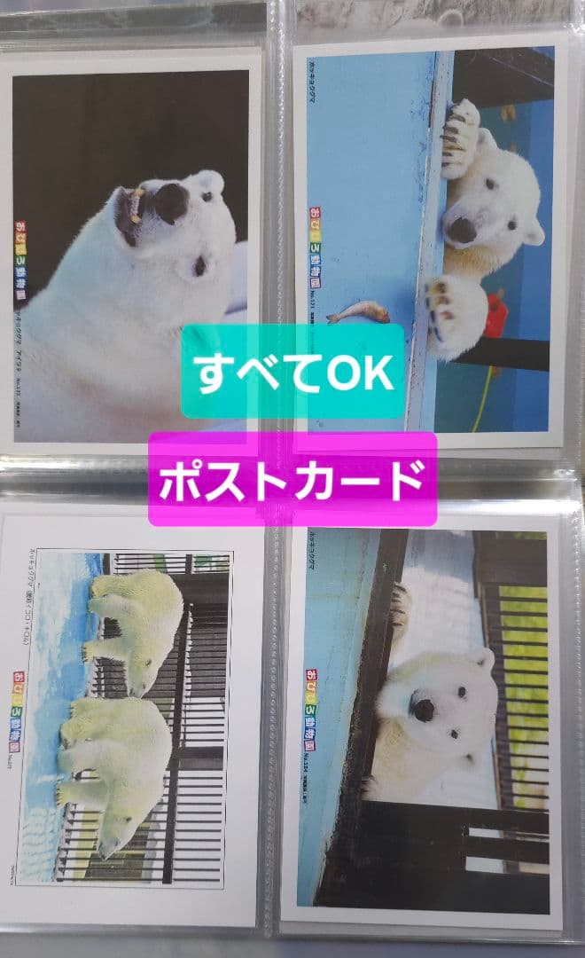 しろくまっこ ①